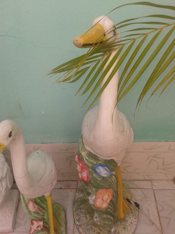 Pousada Recanto De Salvador Cameră foto